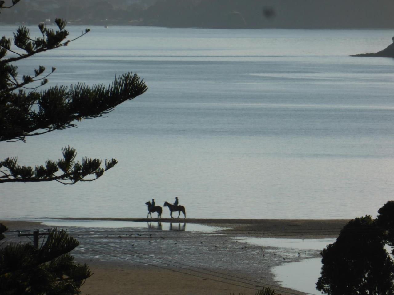 Changing Tides Bnb Paihia Luaran gambar